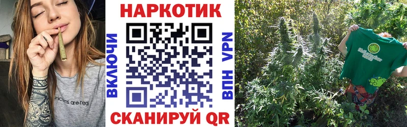 Цена Губаха COCAIN Конопля