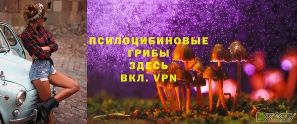 соль ск Балахна