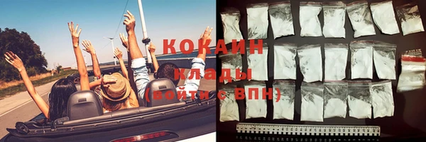 ГАЛЛЮЦИНОГЕННЫЕ ГРИБЫ Арсеньев