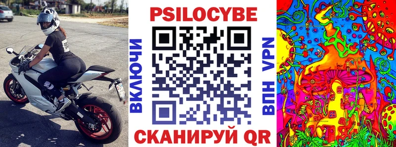 кракен вход Губаха Псилоцибиновые грибы GOLDEN TEACHER